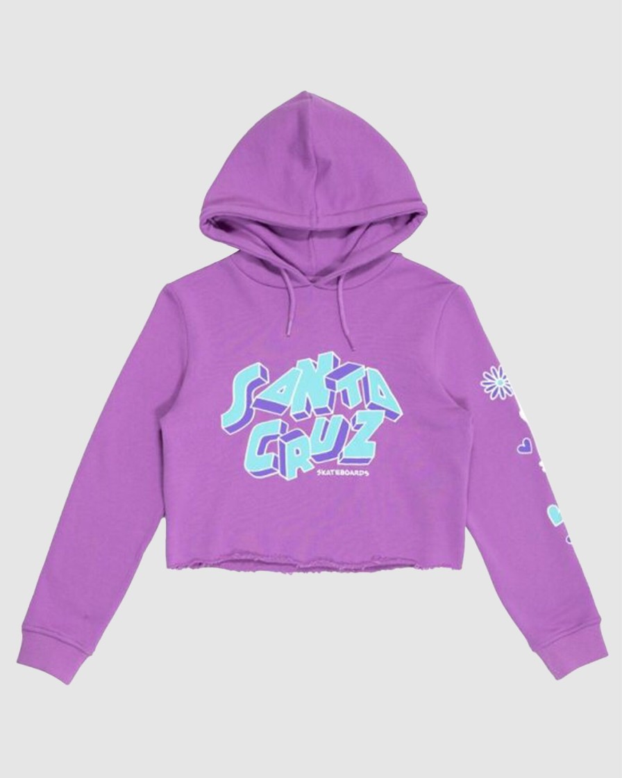 Youth SANTA CRUZ Clothing | Scattered Strip Front Hoody Prp