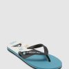 Men QUIKSILVER Thongs | Mens Molokai Panel Flip-Flops