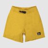 Youth QUIKSILVER Clothing | Boys Everyday Deluxe 12" Swim Shorts