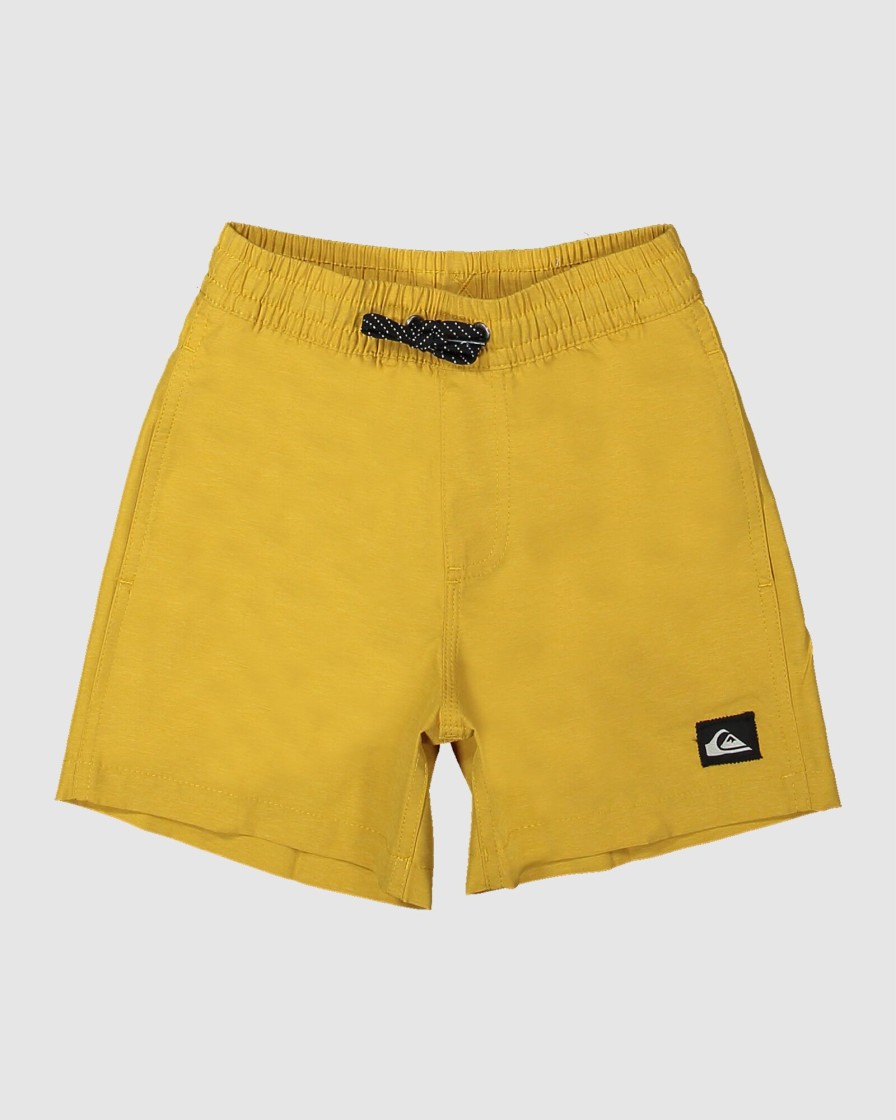 Youth QUIKSILVER Clothing | Boys Everyday Deluxe 12" Swim Shorts