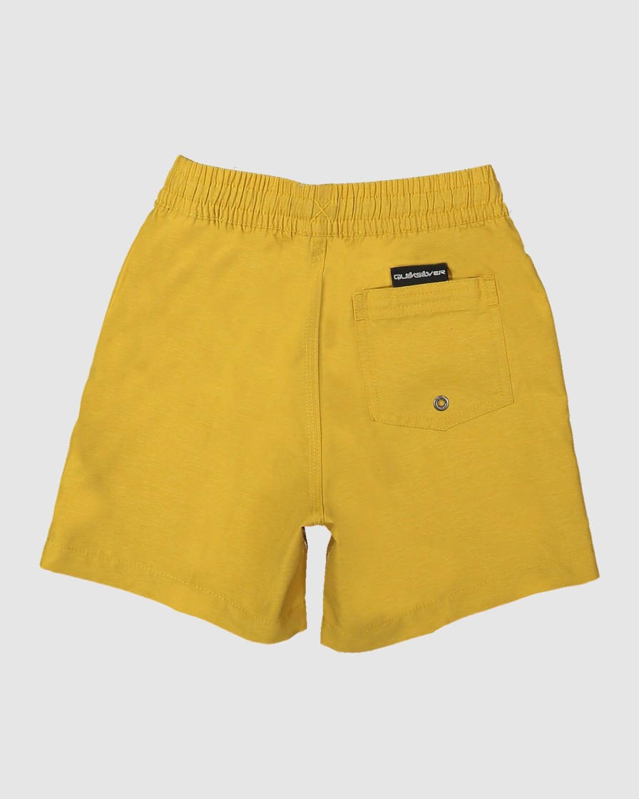 Youth QUIKSILVER Clothing | Boys Everyday Deluxe 12" Swim Shorts