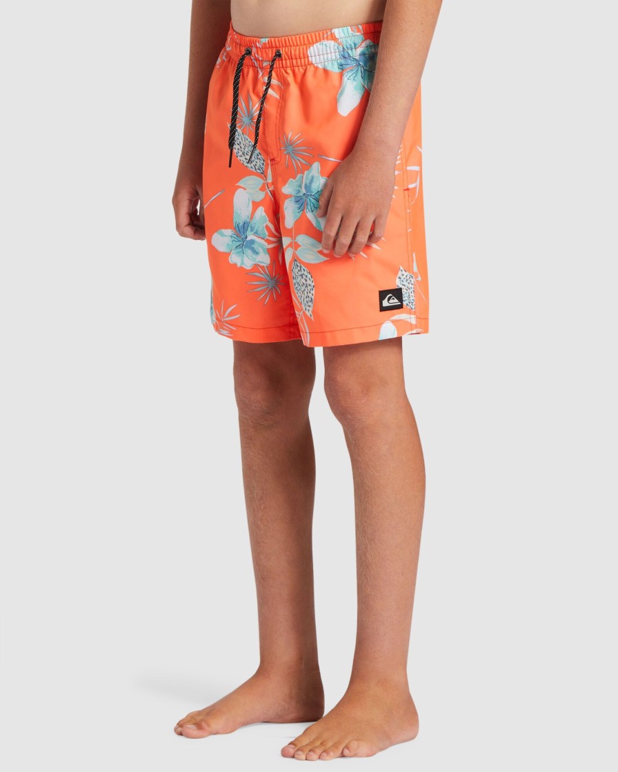 Youth QUIKSILVER Clothing | Boys 8-16 Everyday Mix Swim Shorts