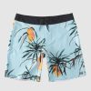 Youth BILLABONG Clothing | Boys 8-16 Sundays Pro Boardshorts