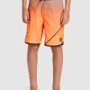 Youth QUIKSILVER Clothing | Boys 8-16 Everyday New Wave 17" Boardshorts