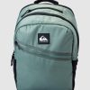 Men QUIKSILVER Bags | Mens Freeday 20L Medium Technical Backpack