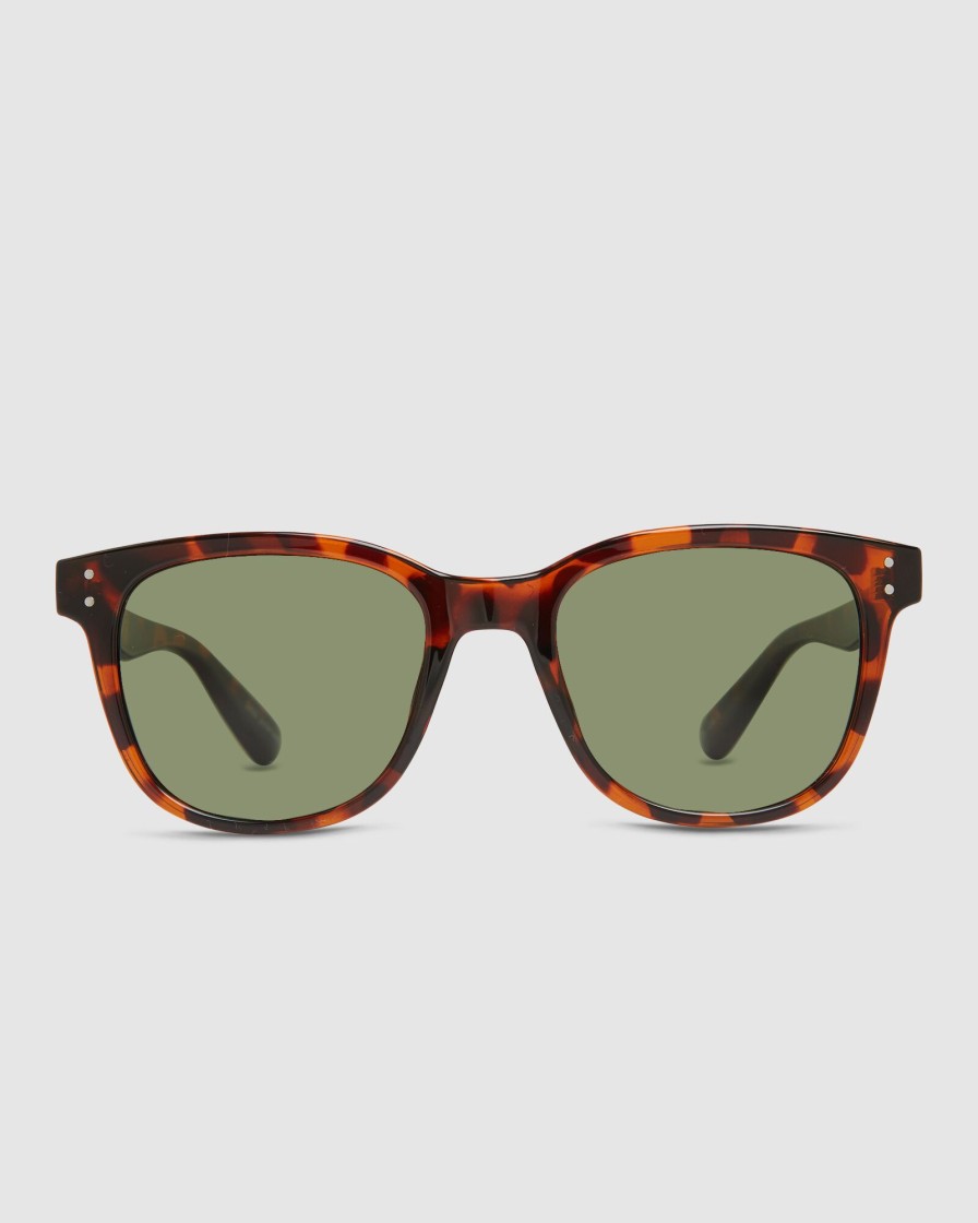 Women CARVE Sunglasses | Homeland Tort Polarized